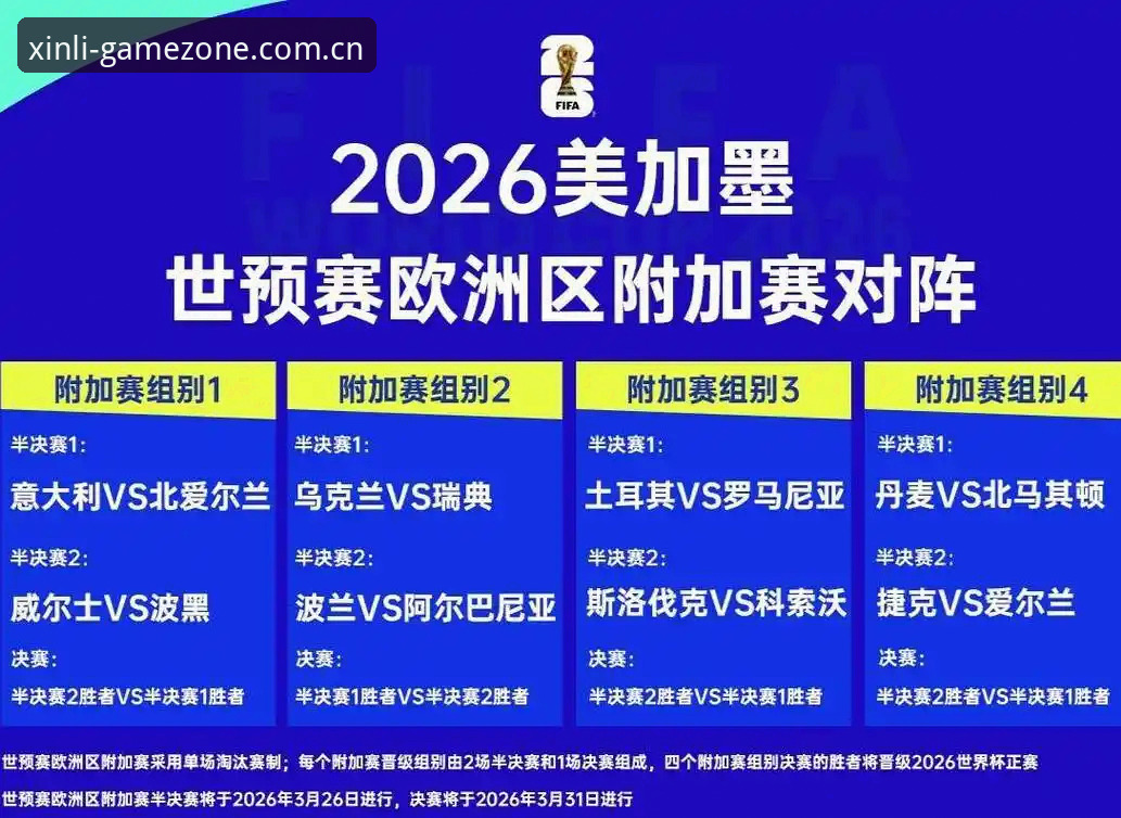 2026世界杯观赛困境深度评测：地缘政治与签证壁垒下的体育盛宴