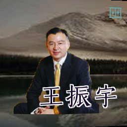 王振宇